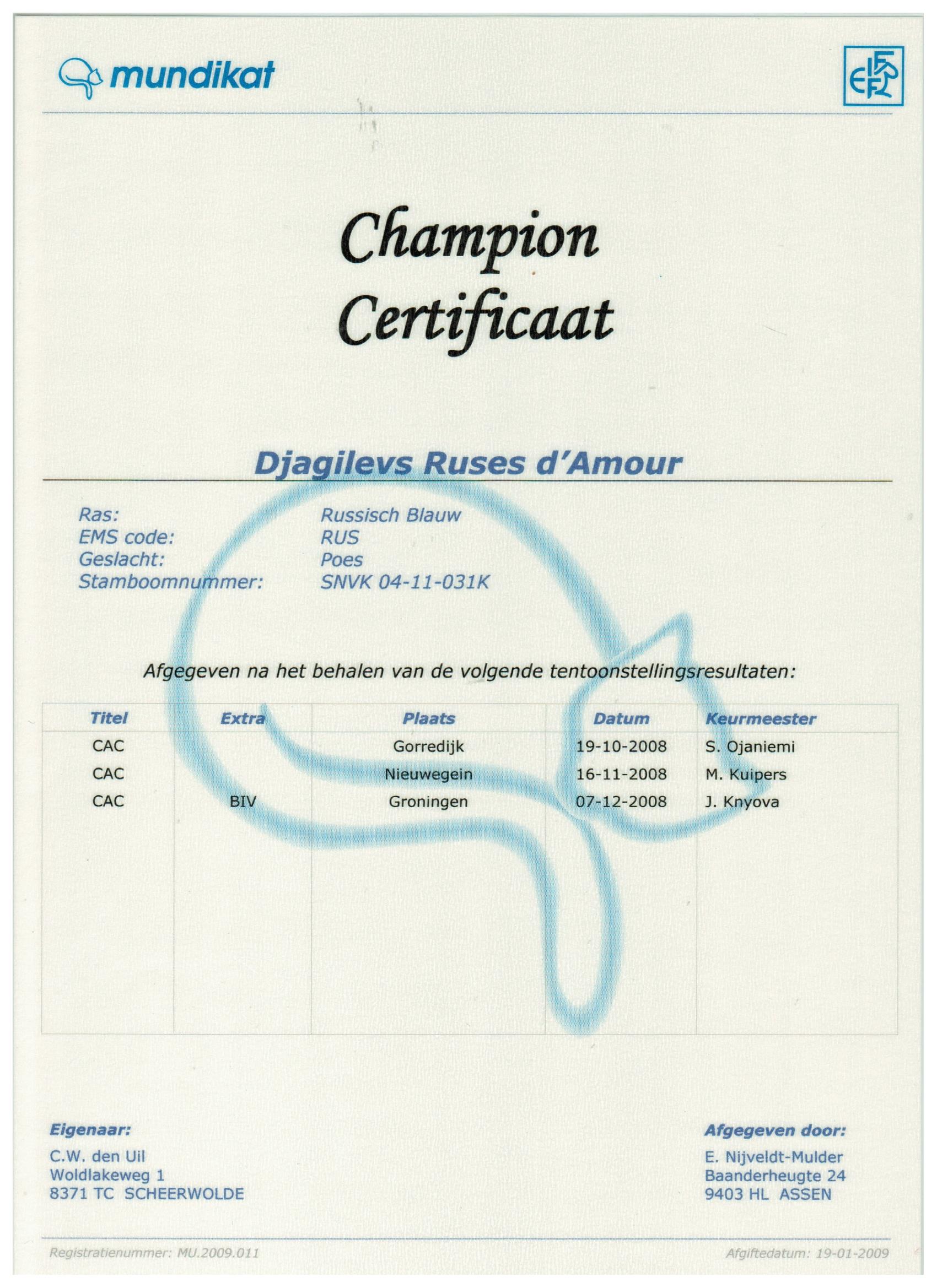 Kampioens certificaat Djagilevs Ruses d'Amour.jpg