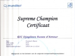 Supreme Champion certificaat Djagilevs Ruses d'Amour.jpg