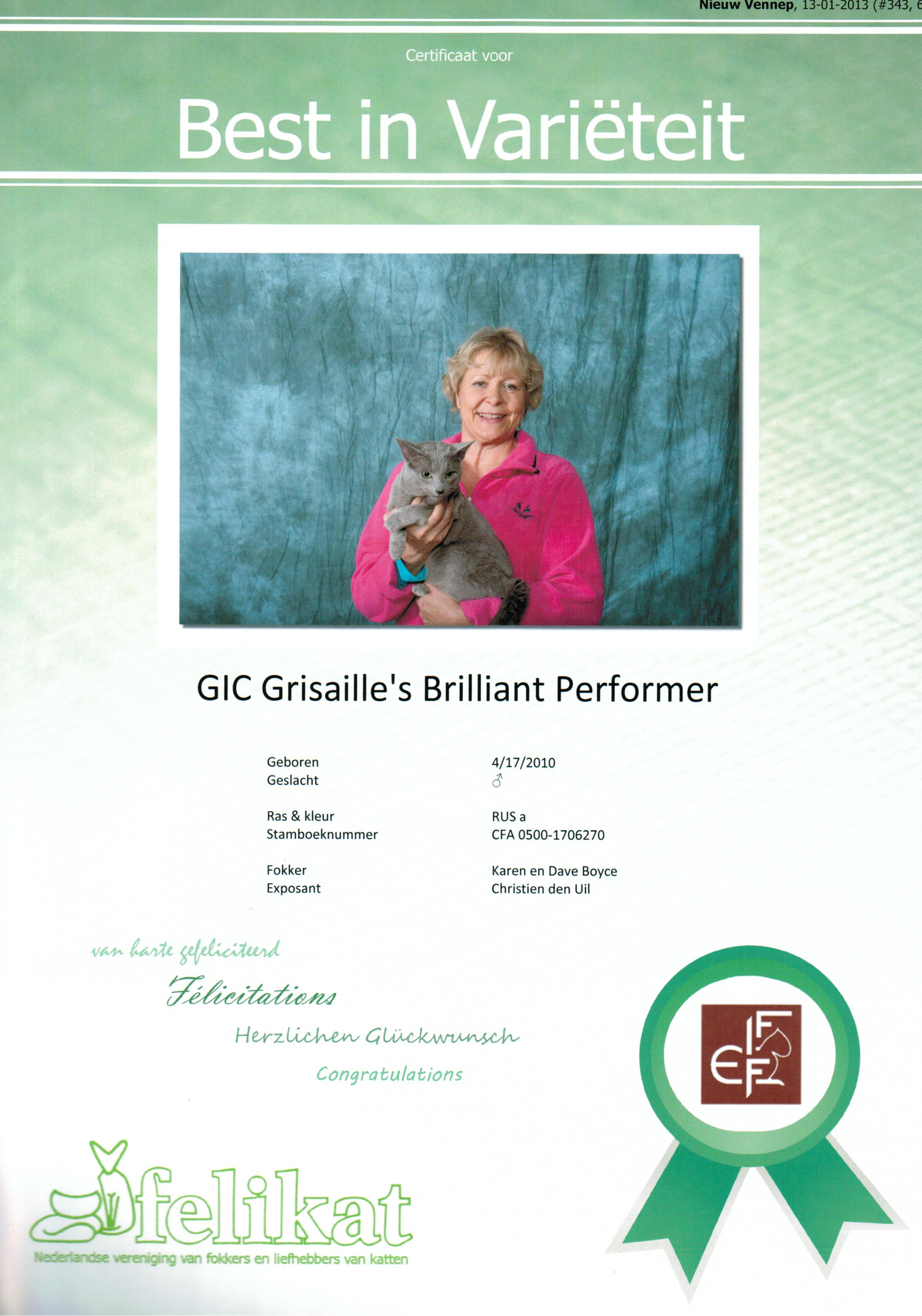 Best in Varieteit Grisaille's Brilliant Performer.jpg