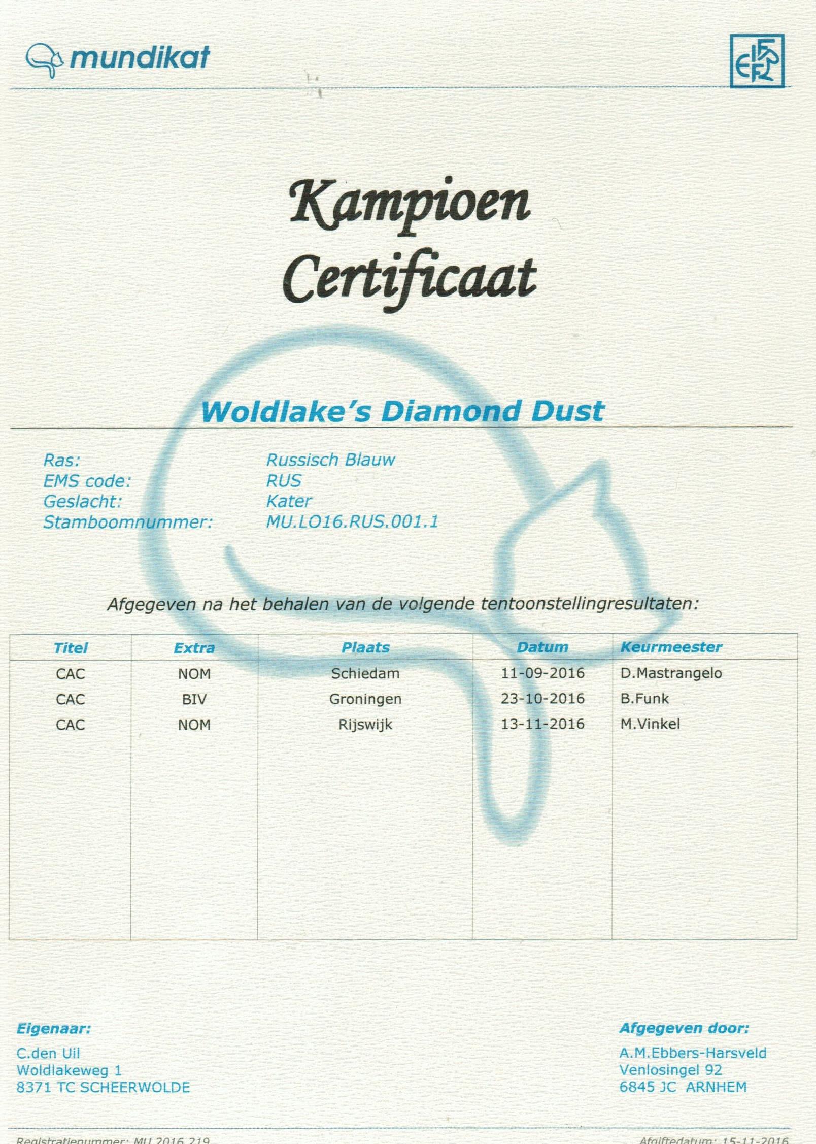 Champion certificaat Diamond Dust.jpeg