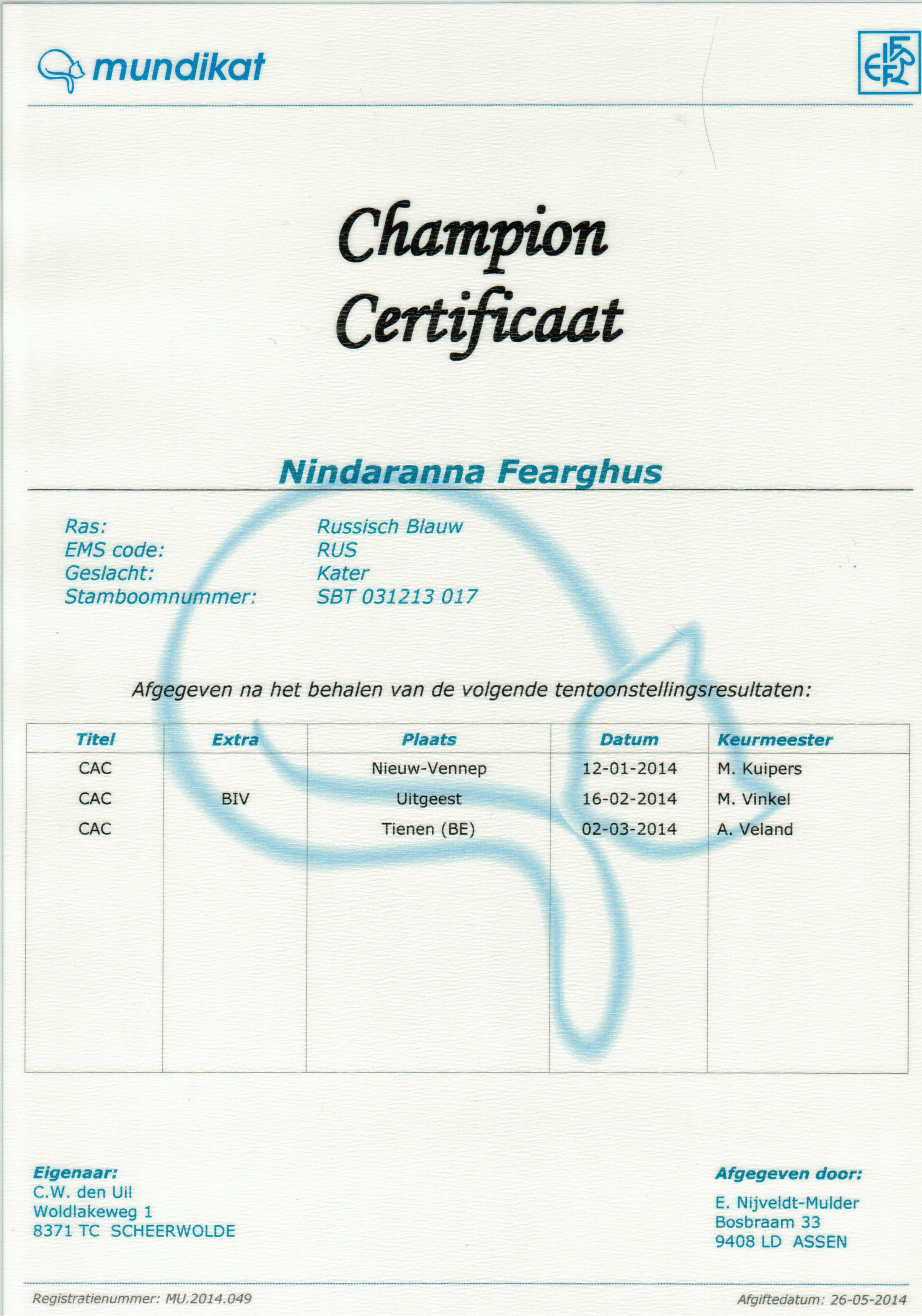 Kampioens certificaat Nindaranna Fearghus