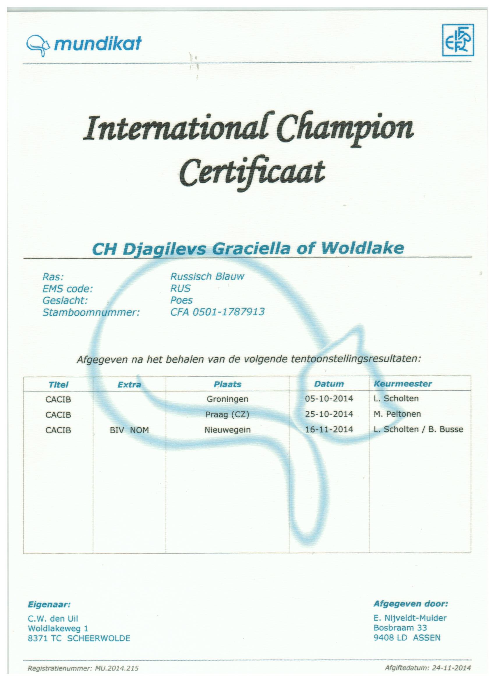 International Champien certificaat Djagilevs Graciella.jpeg