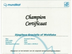Kampioens certificaat Djagilevs Graciella of Woldlake.jpeg