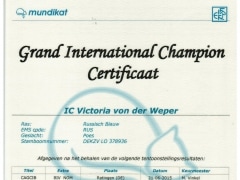 Groot Internationaal Kampioenscertificaat Victoria.jpg.jpeg