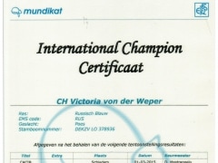 Internationaal kampioen certificaat Victoria von der Weper.jpeg