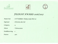 Felikat Award 2016-2017