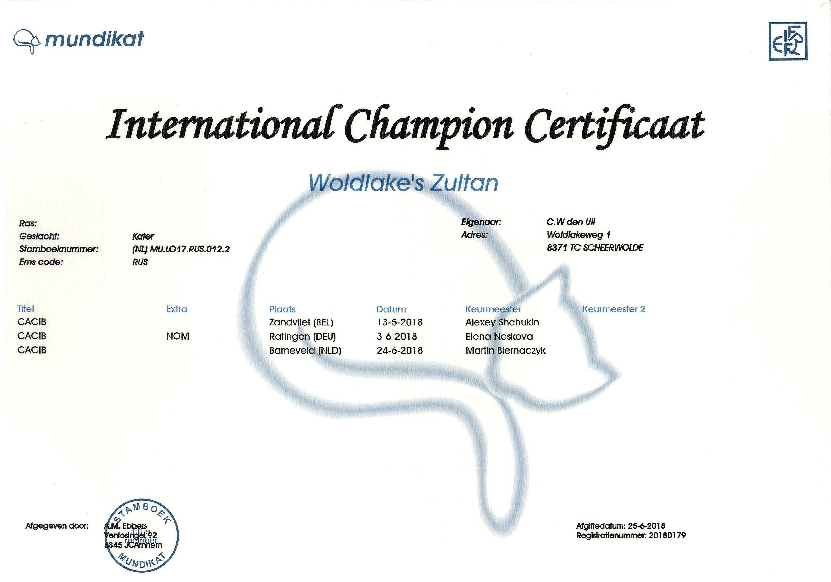 International Champion