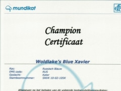 Champion certificaat Xavier.jpg